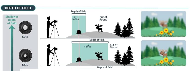 apsc vs full frame